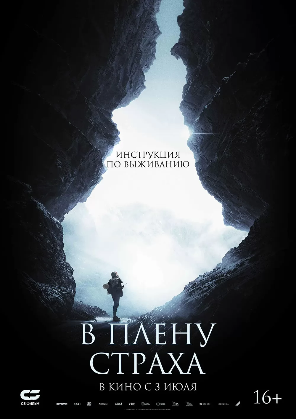 В плену страха: постер N259418