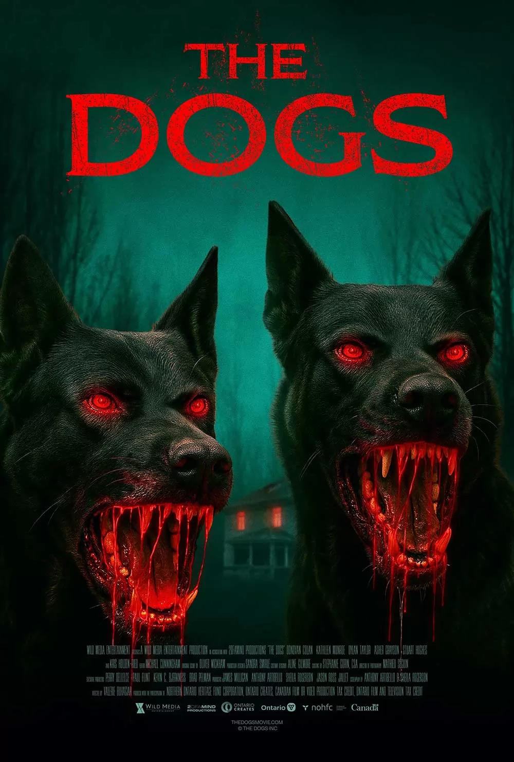 Хищники / The Dogs (2025) отзывы. Рецензии. Новости кино. Актеры фильма Хищники. Отзывы о фильме Хищники