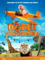 Побег из зоопарка
