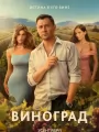 Виноград