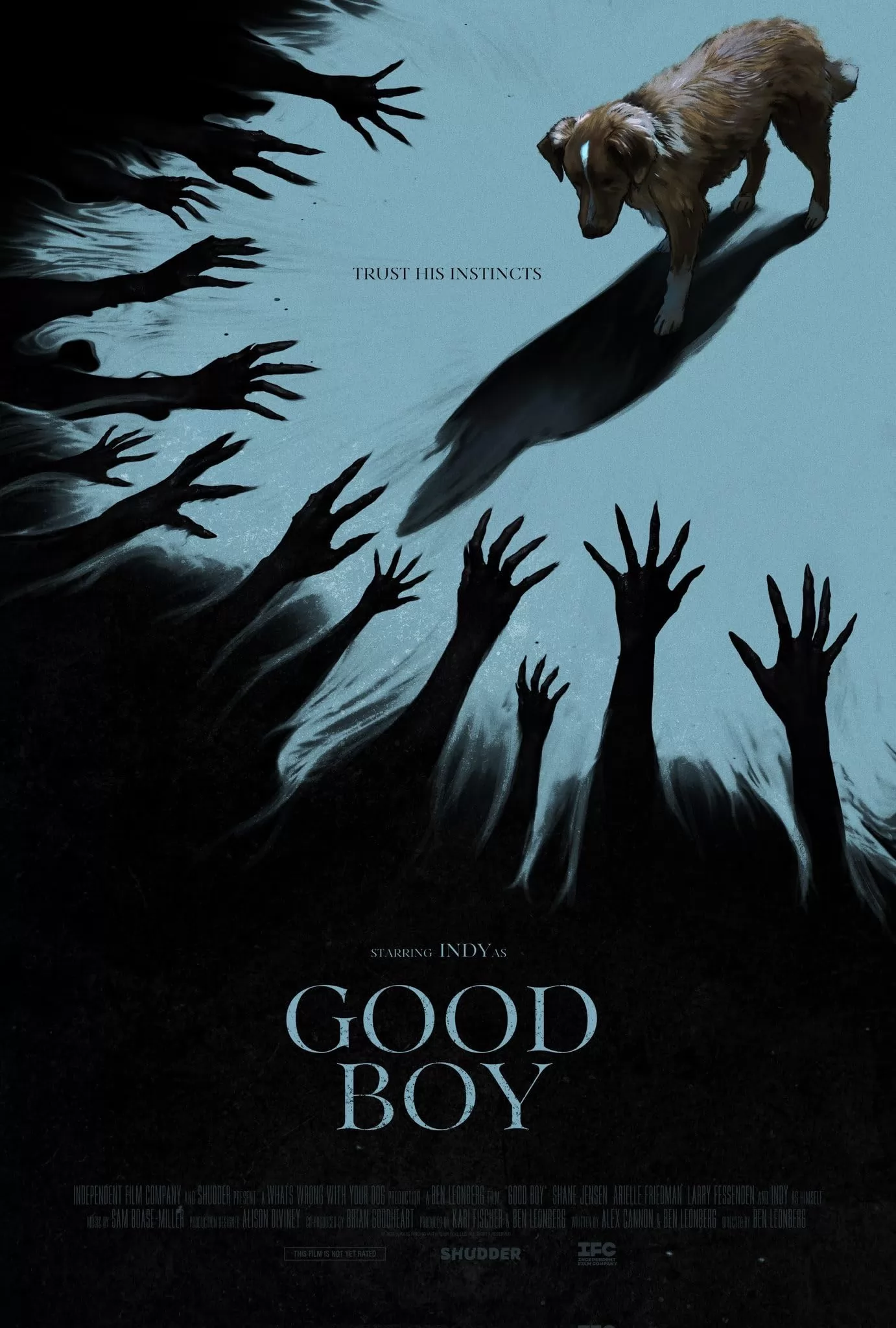 Хороший мальчик / Good Boy (2025) отзывы. Рецензии. Новости кино. Актеры фильма Хороший мальчик. Отзывы о фильме Хороший мальчик