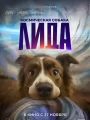 Космическая собака Лида
