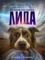 Космическая собака Лида