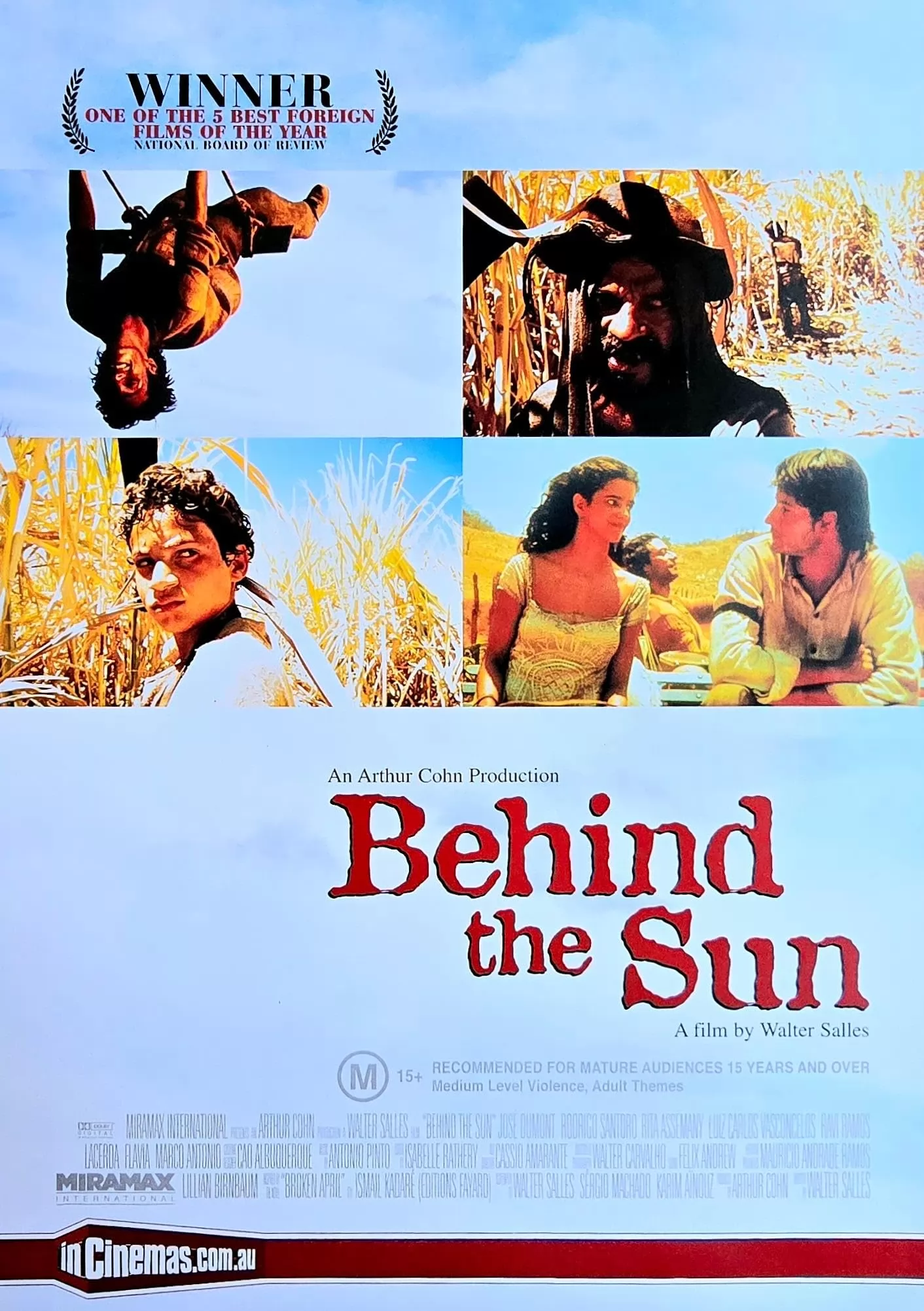 Последнее солнце: постер N266194