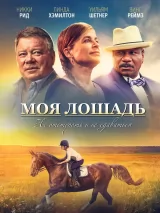 Моя лошадь