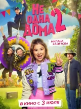 Превью постера #259208 к фильму "Не одна дома 2" (2025)