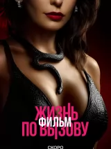 Постер к фильму "Жизнь по вызову. Фильм"