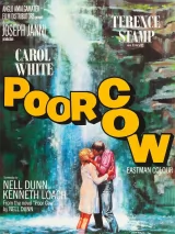 Превью постера #263243 к фильму "Бедная корова" (1967)