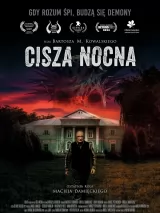 Превью постера #263980 к фильму "Ночная тишина"  (2024)
