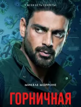 Превью постера #265893 к фильму "Горничная"  (2025)