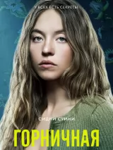 Превью постера #265894 к фильму "Горничная"  (2025)