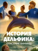 Превью постера #265961 к фильму "История Дельфина: Спасение Бимини" (2025)