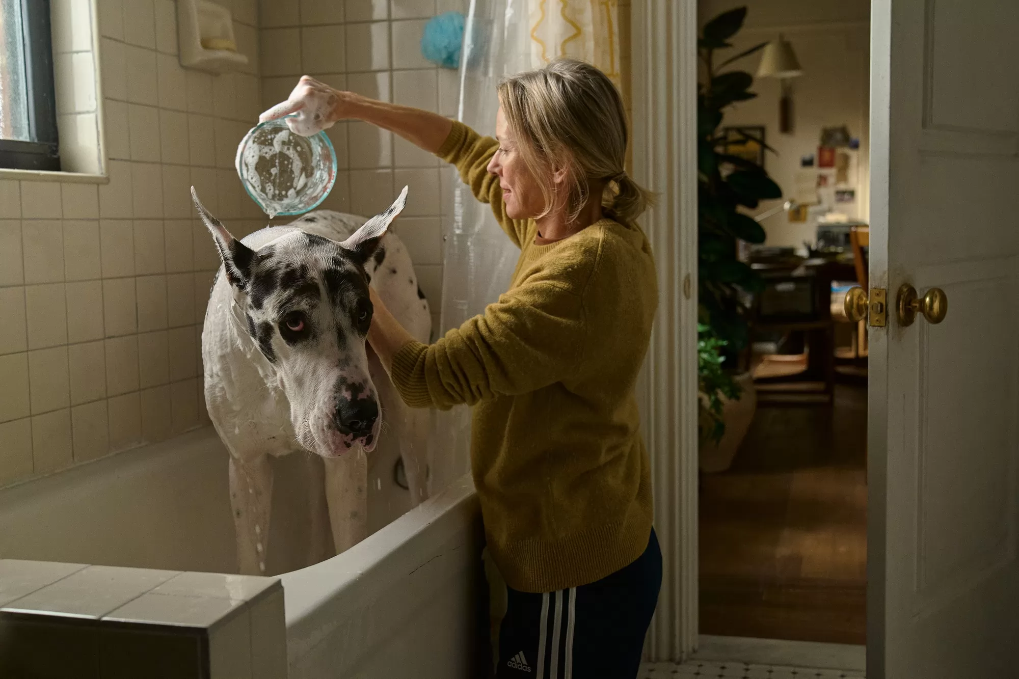 Фильм Верный друг (2024). Кадр N257264