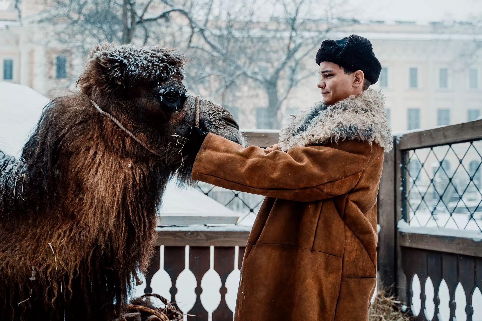 Фильм Красавица (2026). Кадр N259232