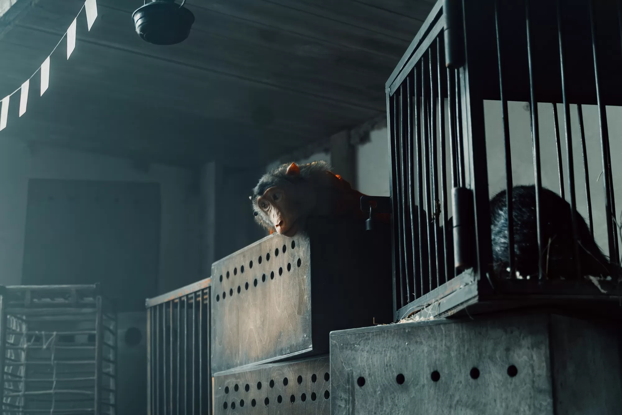 Фильм Красавица (2026). Кадр N259233