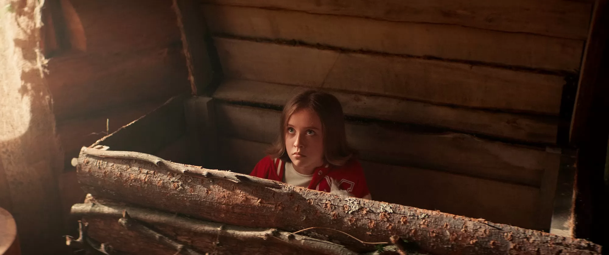 Фильм Маша и Медведи (2025). Кадр N263274