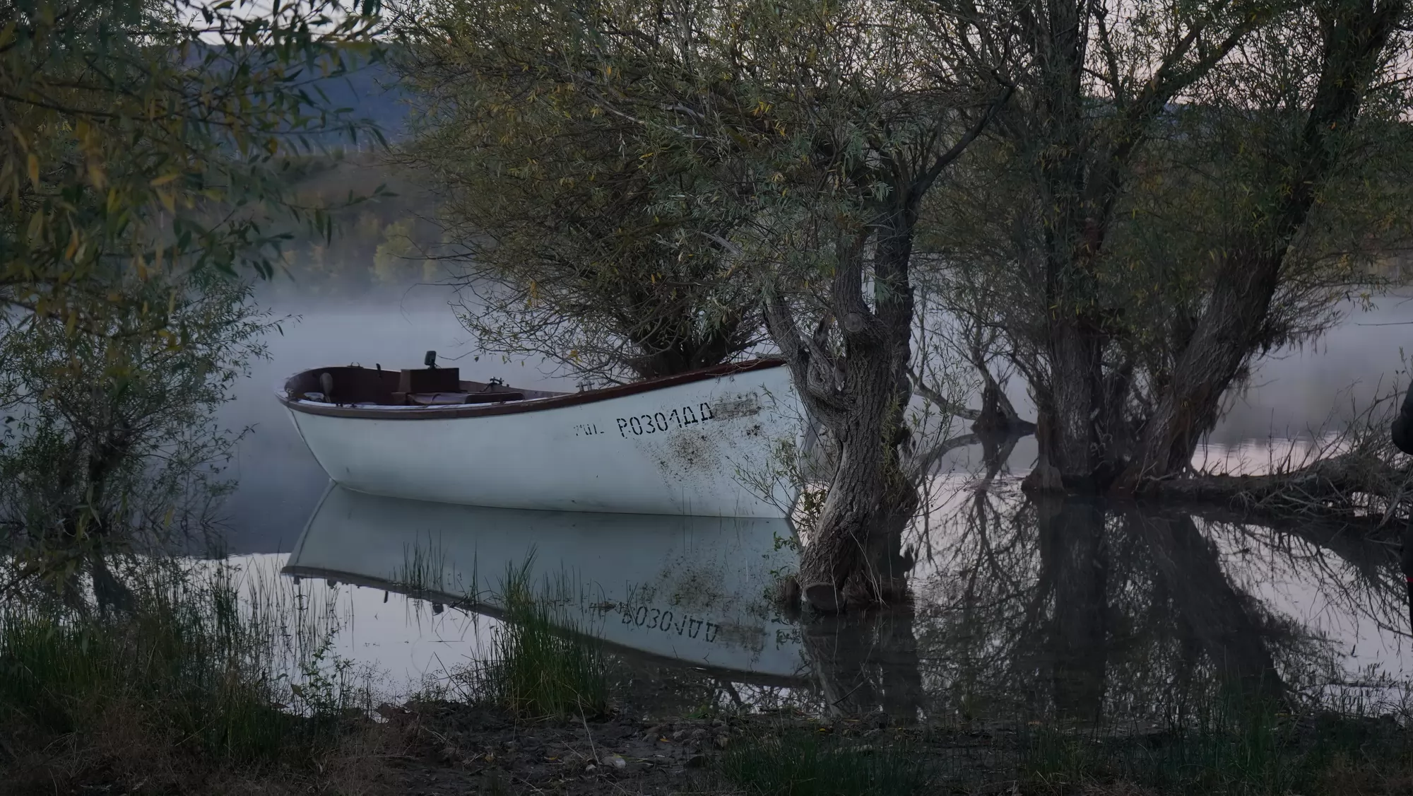 Фильм Ветер (2025). Кадр N264671