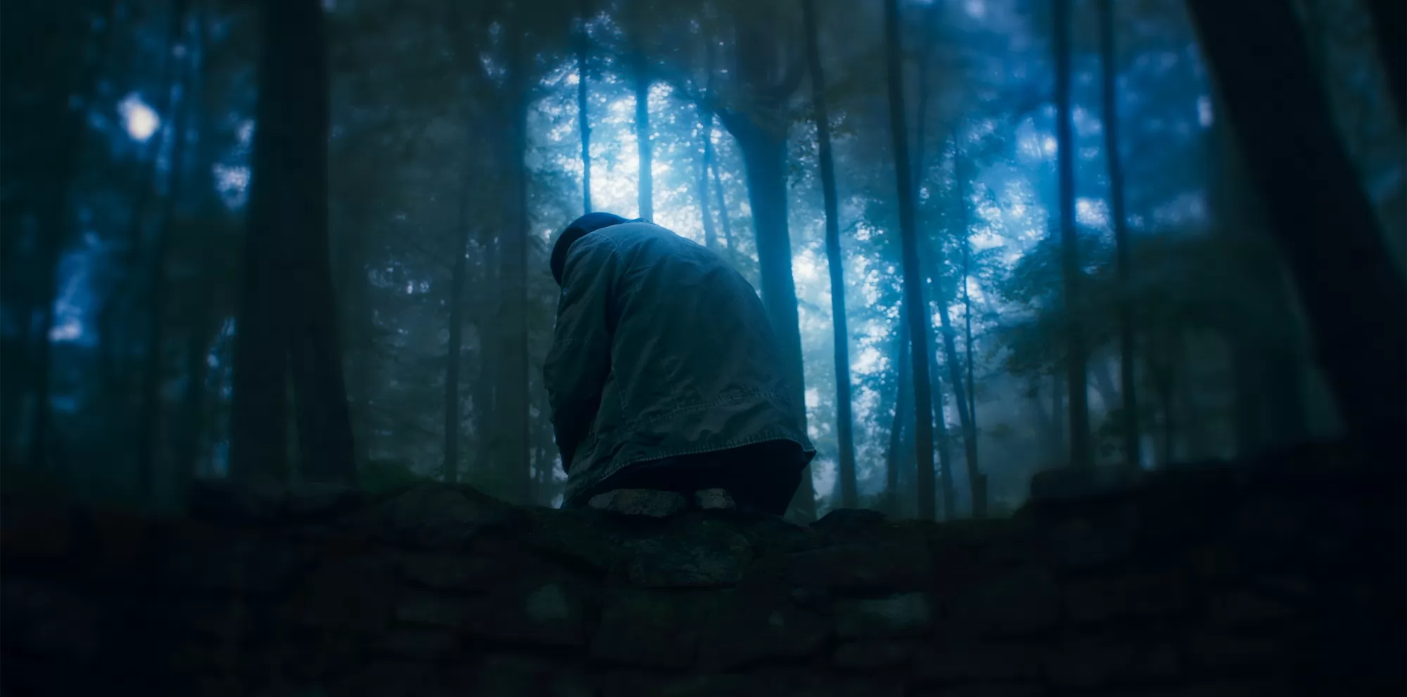 Фильм Глазами пса (2025). Кадр N265680