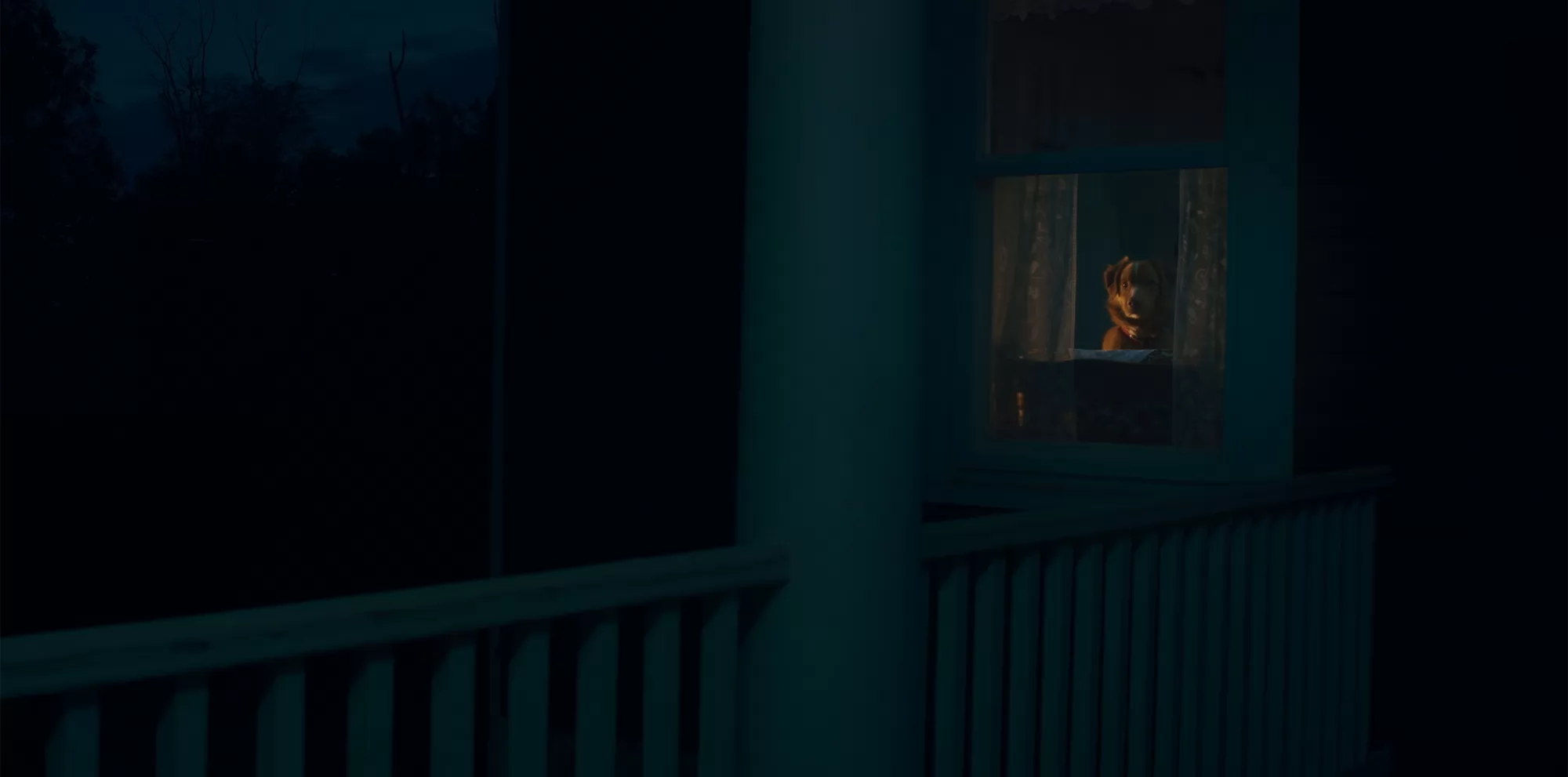 Фильм Глазами пса (2025). Кадр N265674