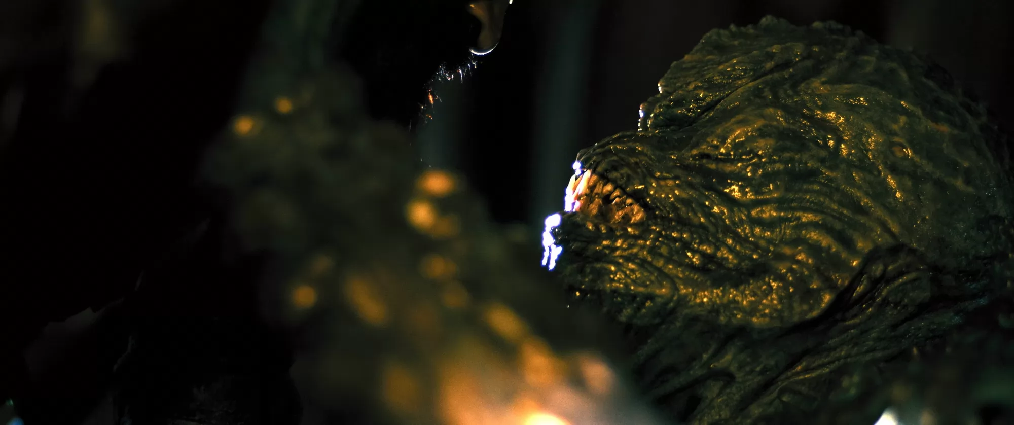 Π€ΠΈΠ»ΡΠΌ Π₯ΠΈΡΠ½ΠΈΠΊ: ΠΠΈΡΡΠΈΡ