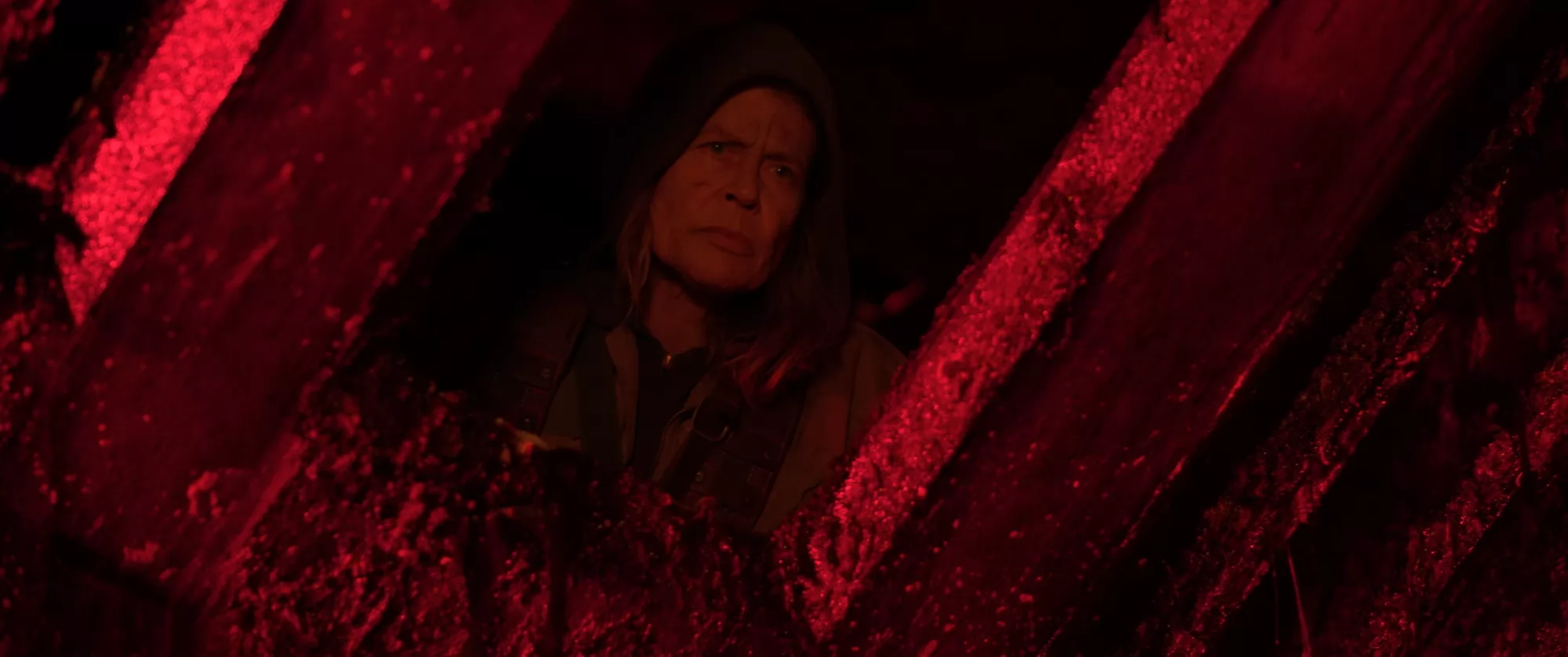 Π€ΠΈΠ»ΡΠΌ Π₯ΠΈΡΠ½ΠΈΠΊ: ΠΠΈΡΡΠΈΡ