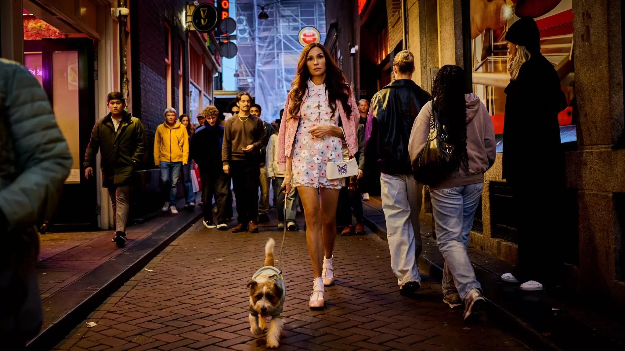 Π‘Π΅ΡΠΈΠ°Π» ΠΠΌΡΡΠ΅ΡΠ΄Π°ΠΌΡΠΊΠ°Ρ ΠΈΠΌΠΏΠ΅ΡΠΈΡ (2025). ΠΠ°Π΄Ρ N266595