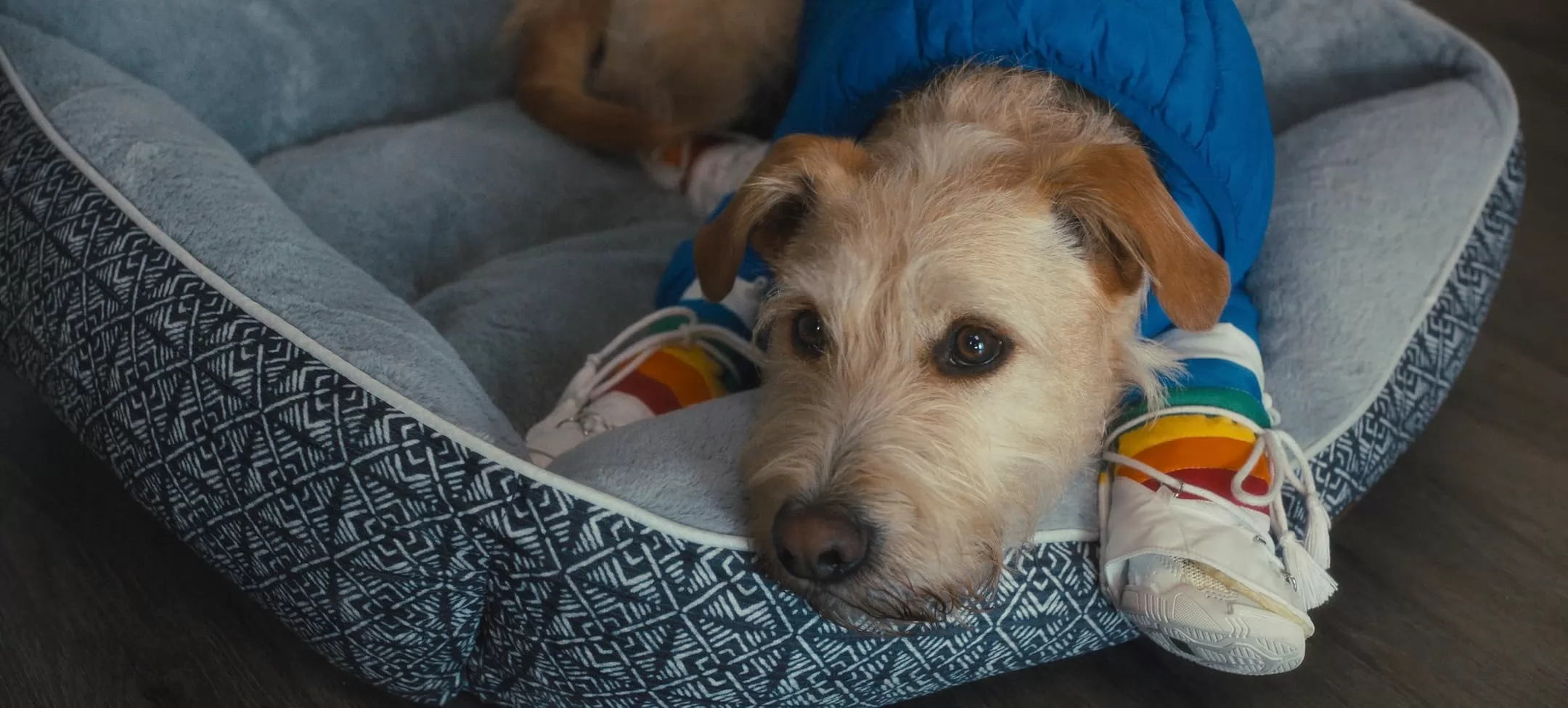 Фильм Мерв (2025). Кадр N266749