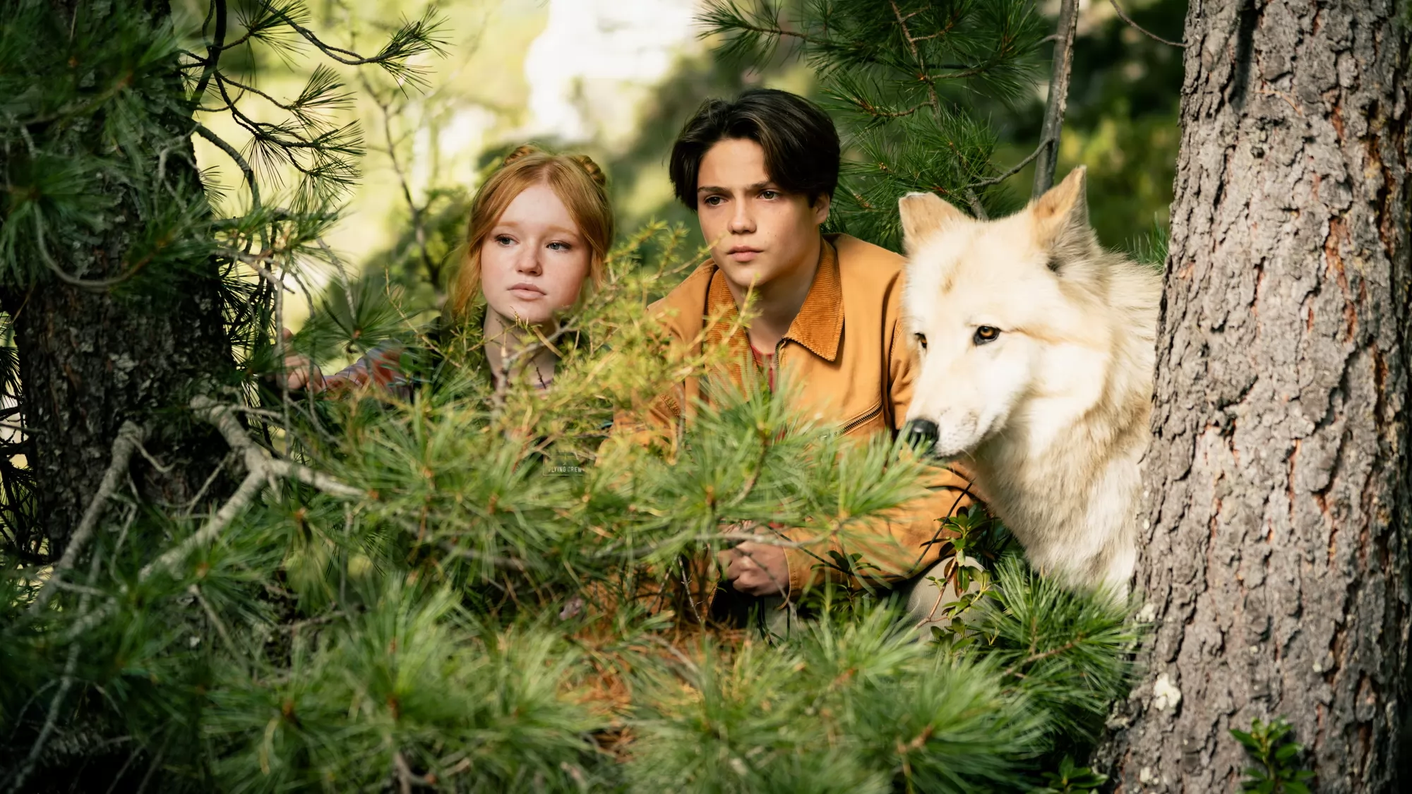 Фильм Дети леса 2 (2026). Кадр N266903