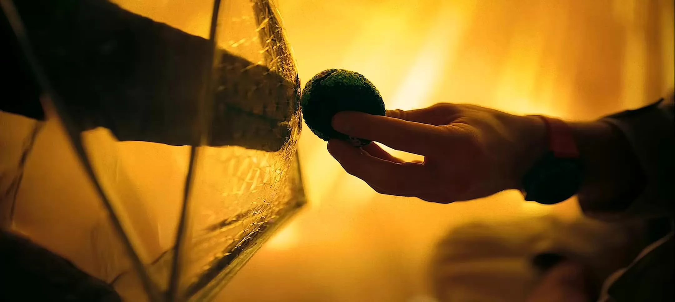 Фильм Проект 