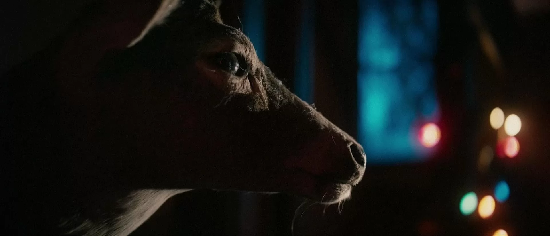 Фильм Я поймал дьявола (2019). Кадр N267214