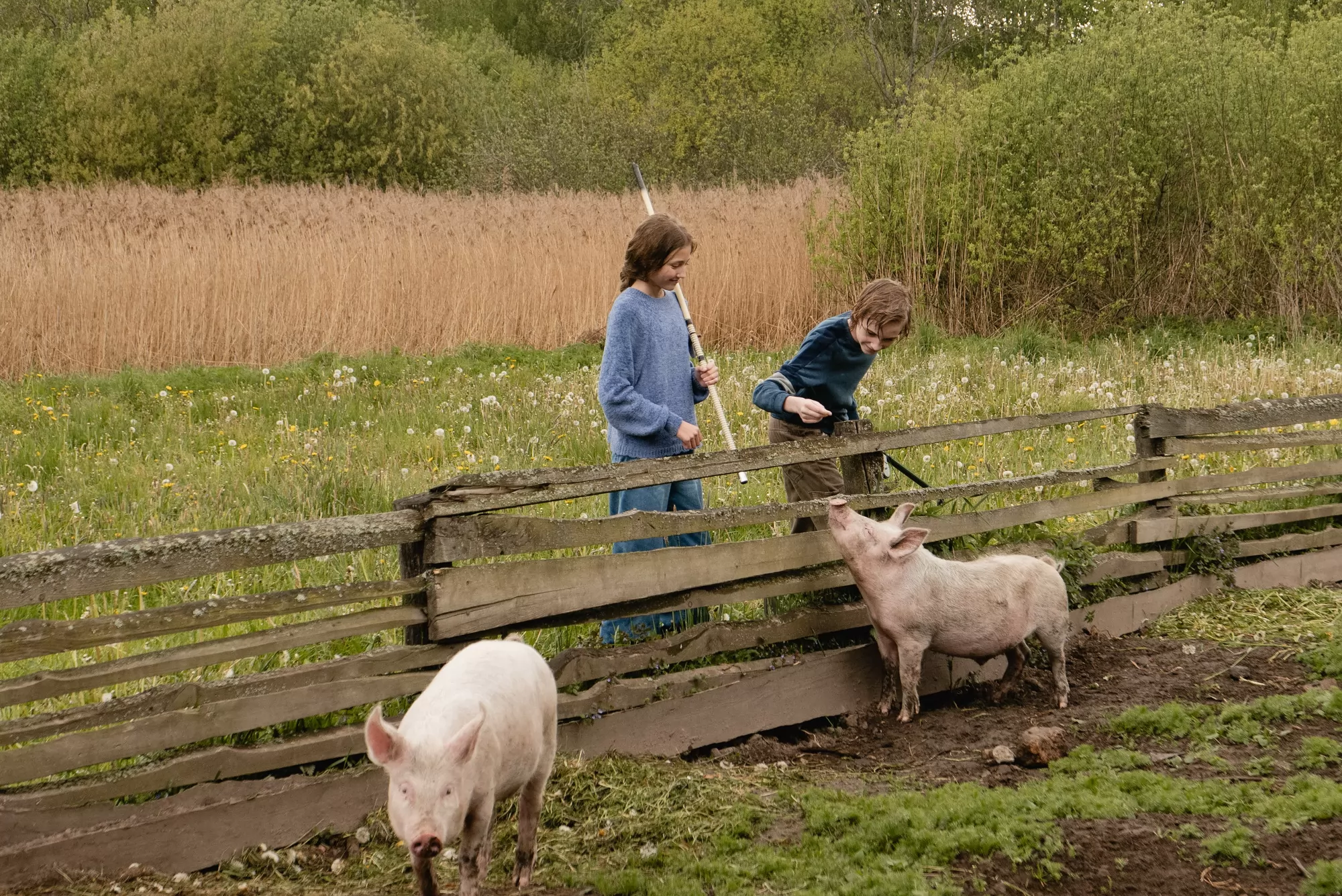 Π€ΠΈΠ»ΡΠΌ Π ΠΎΠ΄ΠΈΡΠ΅Π»ΡΡΠΊΠΈΠΉ Π΄ΠΎΠΌ (2026). ΠΠ°Π΄Ρ N267409