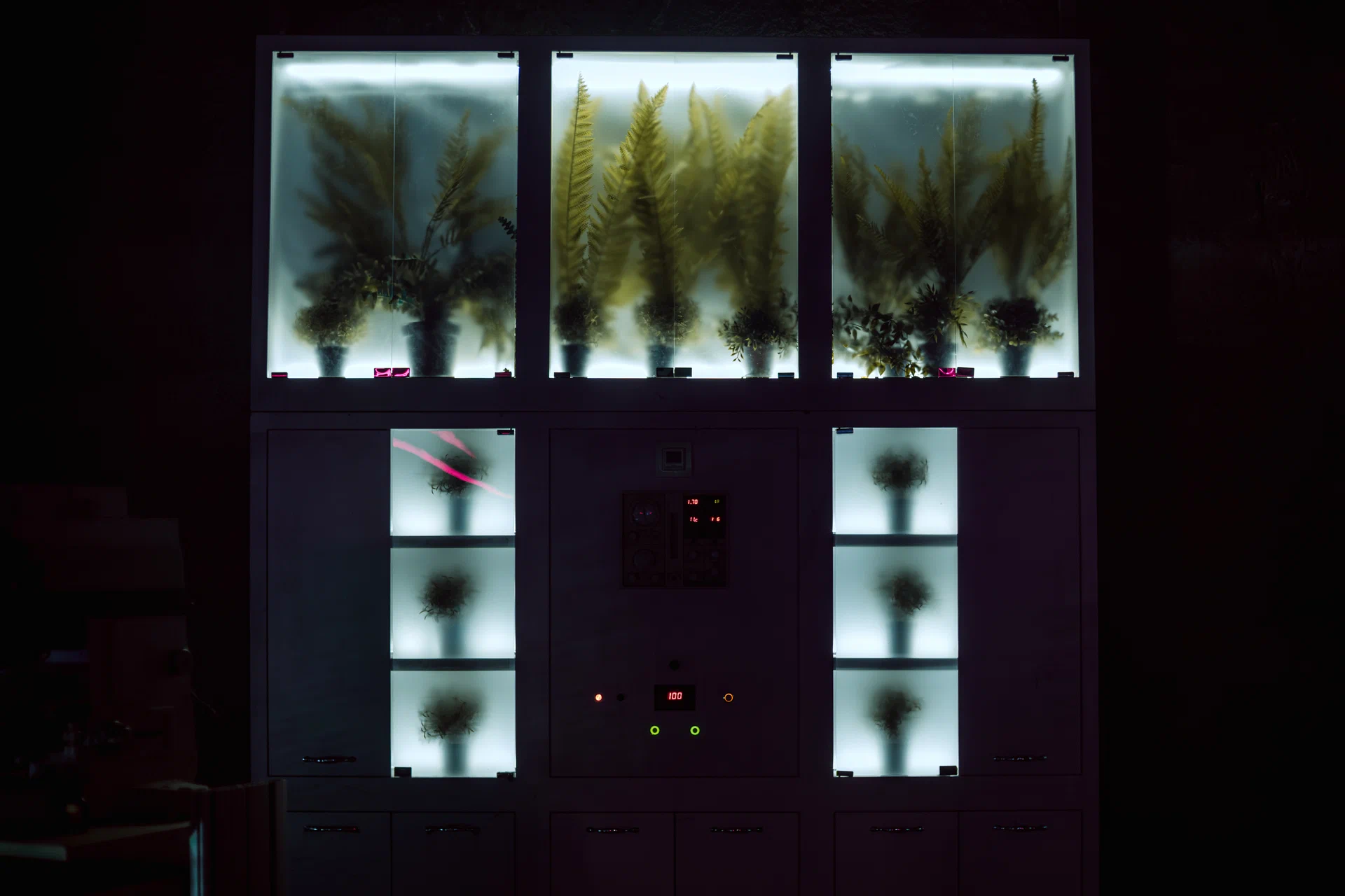 Сериал Вегетация (2026). Кадр N267609