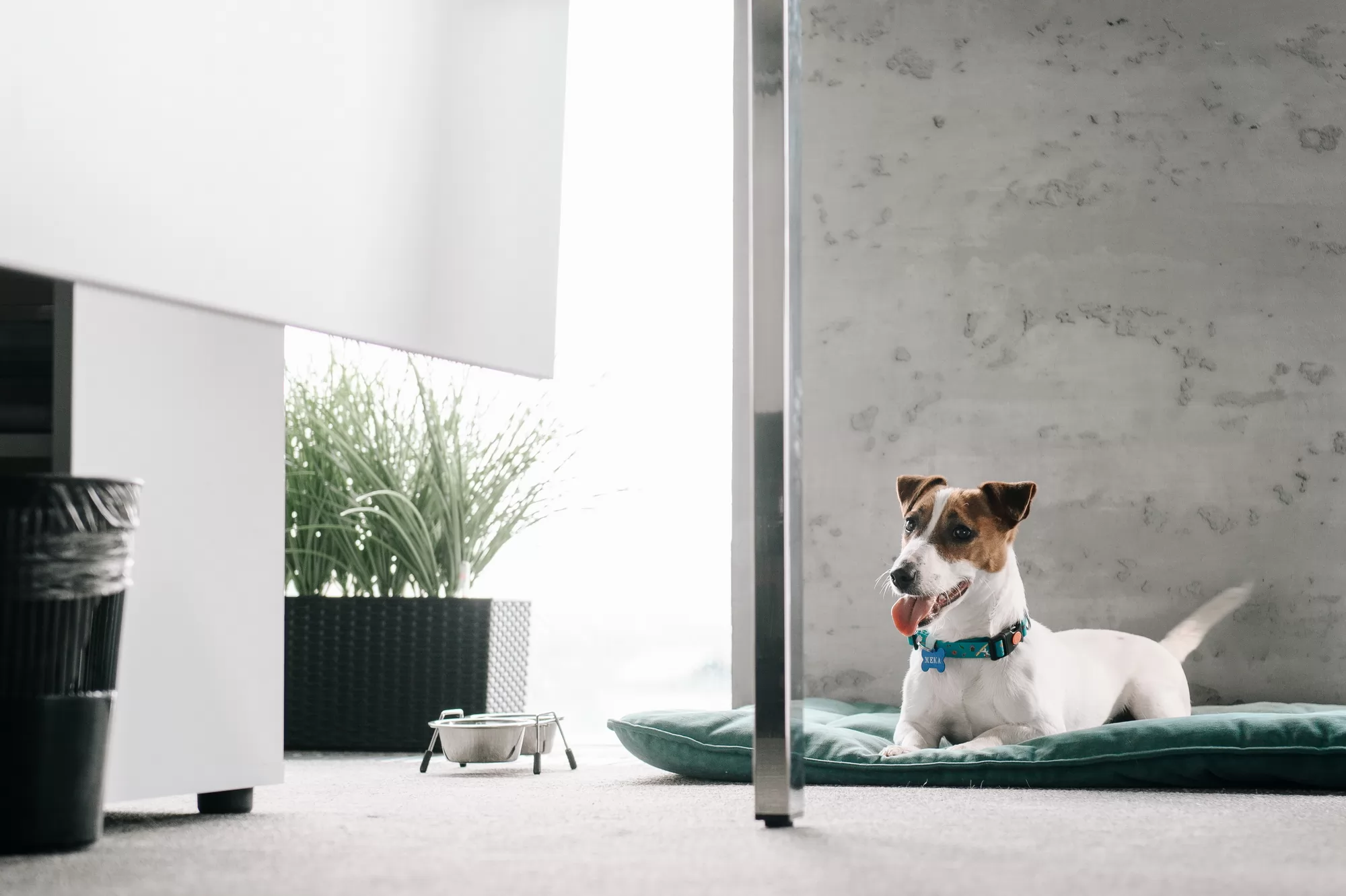 Сериал Жека Рассел (2025). Кадр N267644