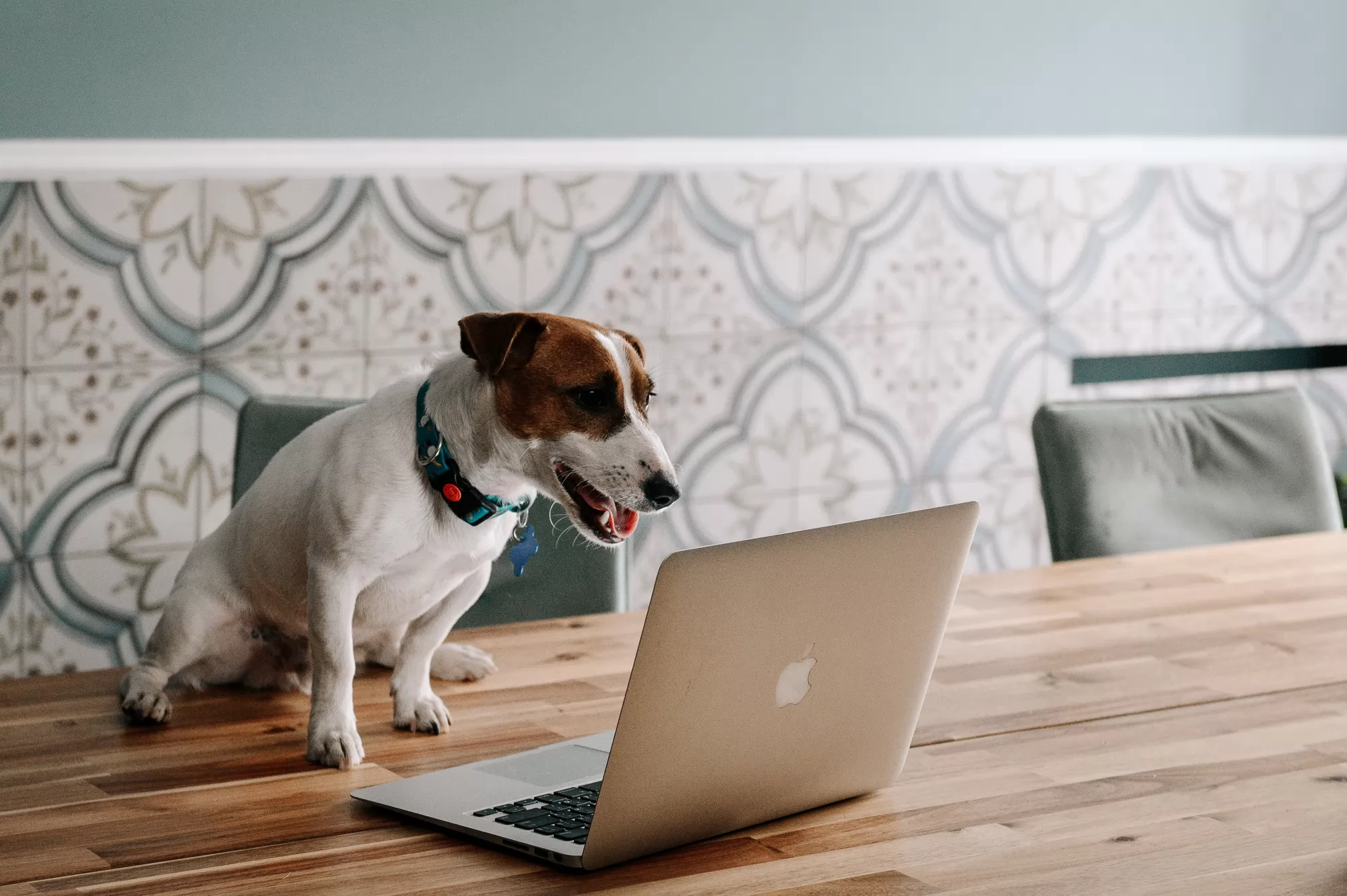 Сериал Жека Рассел (2025). Кадр N267630