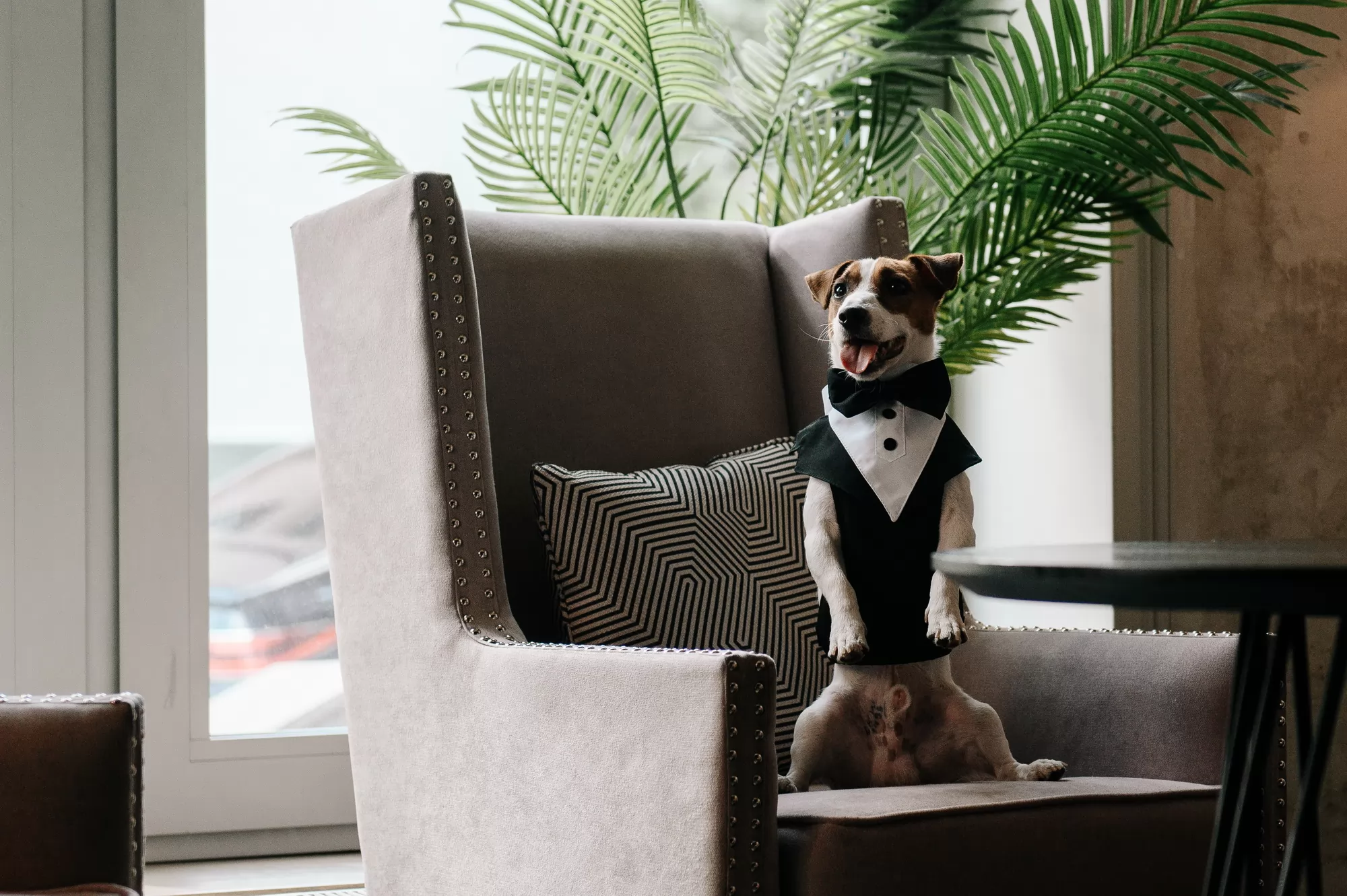 Сериал Жека Рассел (2025). Кадр N267635