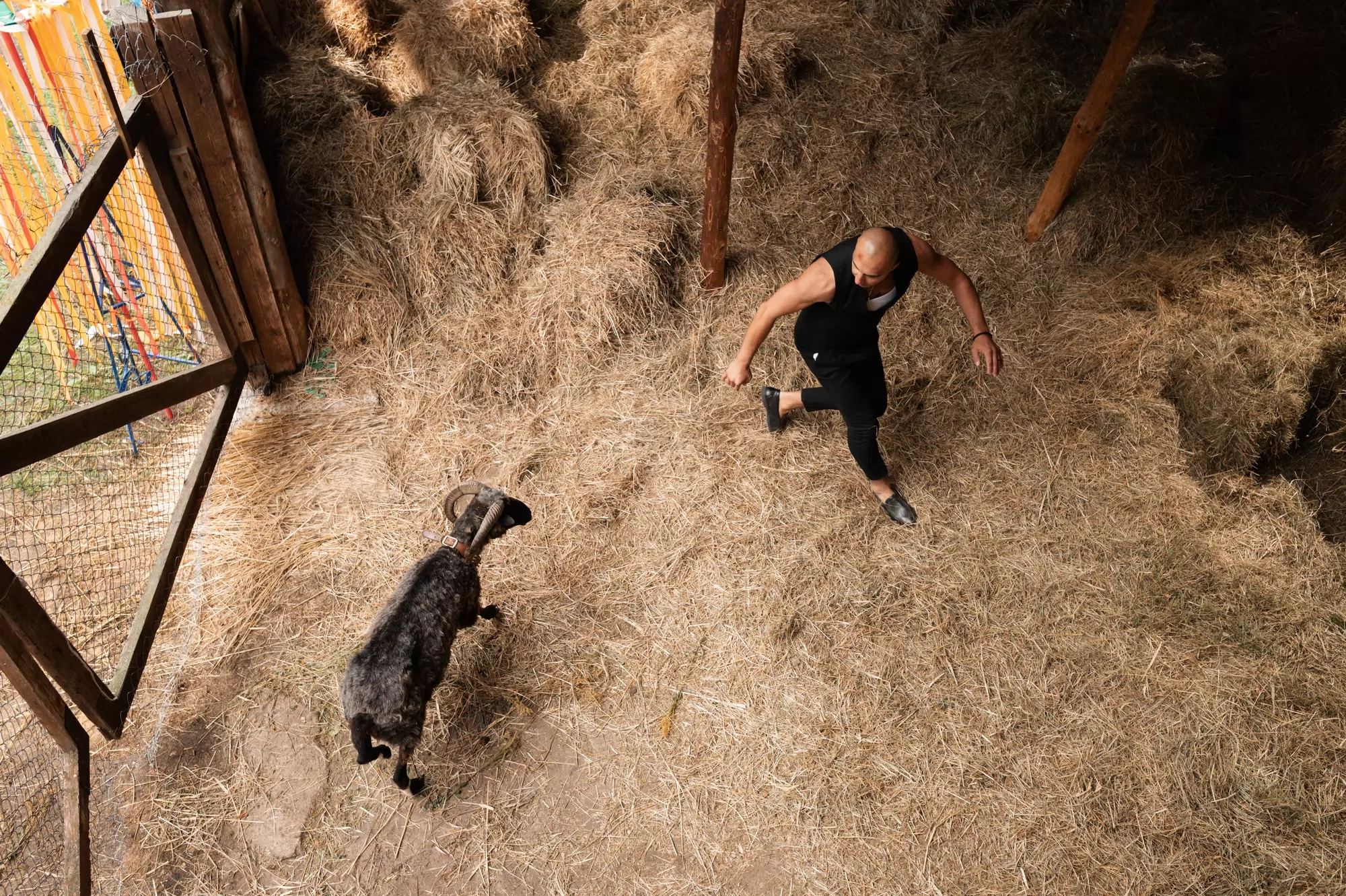 Π€ΠΈΠ»ΡΠΌ ΠΠΎΠΊΡΠΎΡ ΠΠ°Ρ (2026). ΠΠ°Π΄Ρ N268259