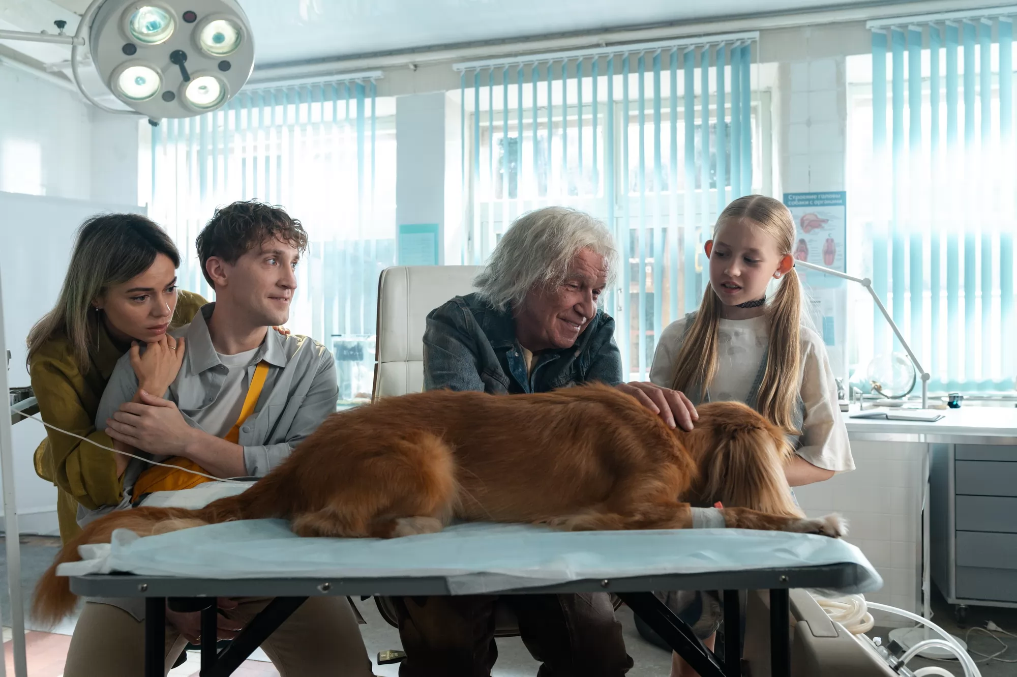 Π€ΠΈΠ»ΡΠΌ ΠΠΎΠΊΡΠΎΡ ΠΠ°Ρ (2026). ΠΠ°Π΄Ρ N268256