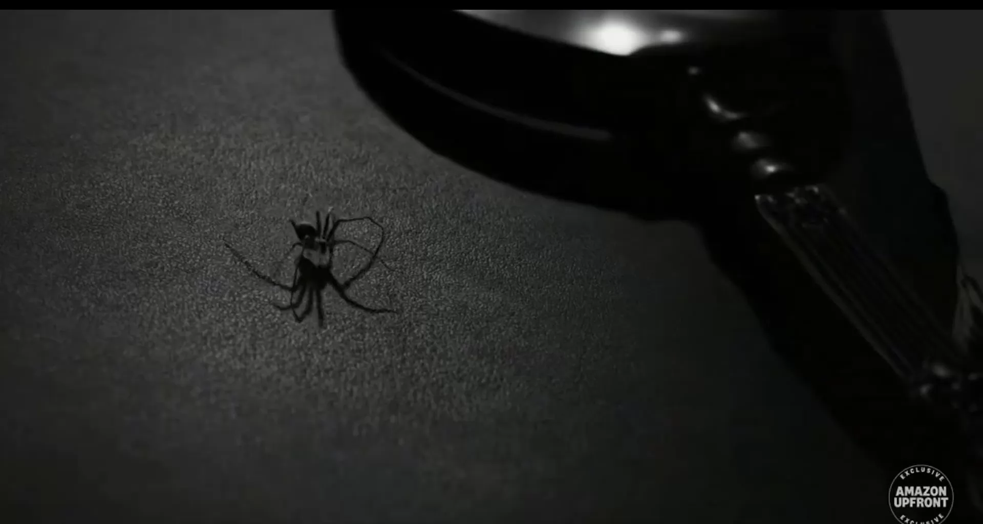 Сериал Паук-Нуар (2026). Кадр N268343