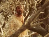 Кадры к фильму "Серфер"