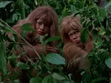 Превью кадра #256496 к фильму "Надувательство" (1970)