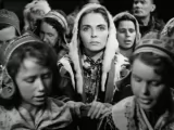 Превью кадра #256948 из фильма "Белый олень"  (1952)