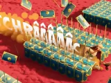 Превью кадра #259153 к мультфильму "Астерикс и Обеликс: Поединок вождей" (2025)