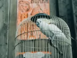 Превью кадра #259242 из фильма "Красавица"  (2026)