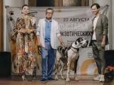 Превью кадра #259783 из сериала "Домохозяин"  (2025)