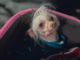 Превью кадра #261571 из сериала "Это слишком"  (2025)