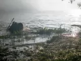 Превью кадра #261643 из фильма "Гризли"  (2025)