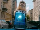 Превью кадра #262033 из фильма "Побег из зоопарка"  (2024)