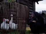 Превью кадра #262836 из фильма "Богатыри"  (2026)