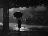 Превью кадра #263774 к фильму "Ночи Кабирии" (1957)