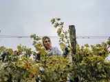 Превью кадра #264268 из сериала "Виноделы"  (2025)